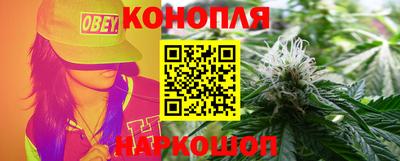 гидропоника Заводоуковск