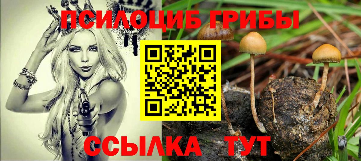 Галлюциногенные грибы мухоморы  Псилоцибиновые грибы MAGIC MUSHROOMS  Вход с VPN  Мелеуз 